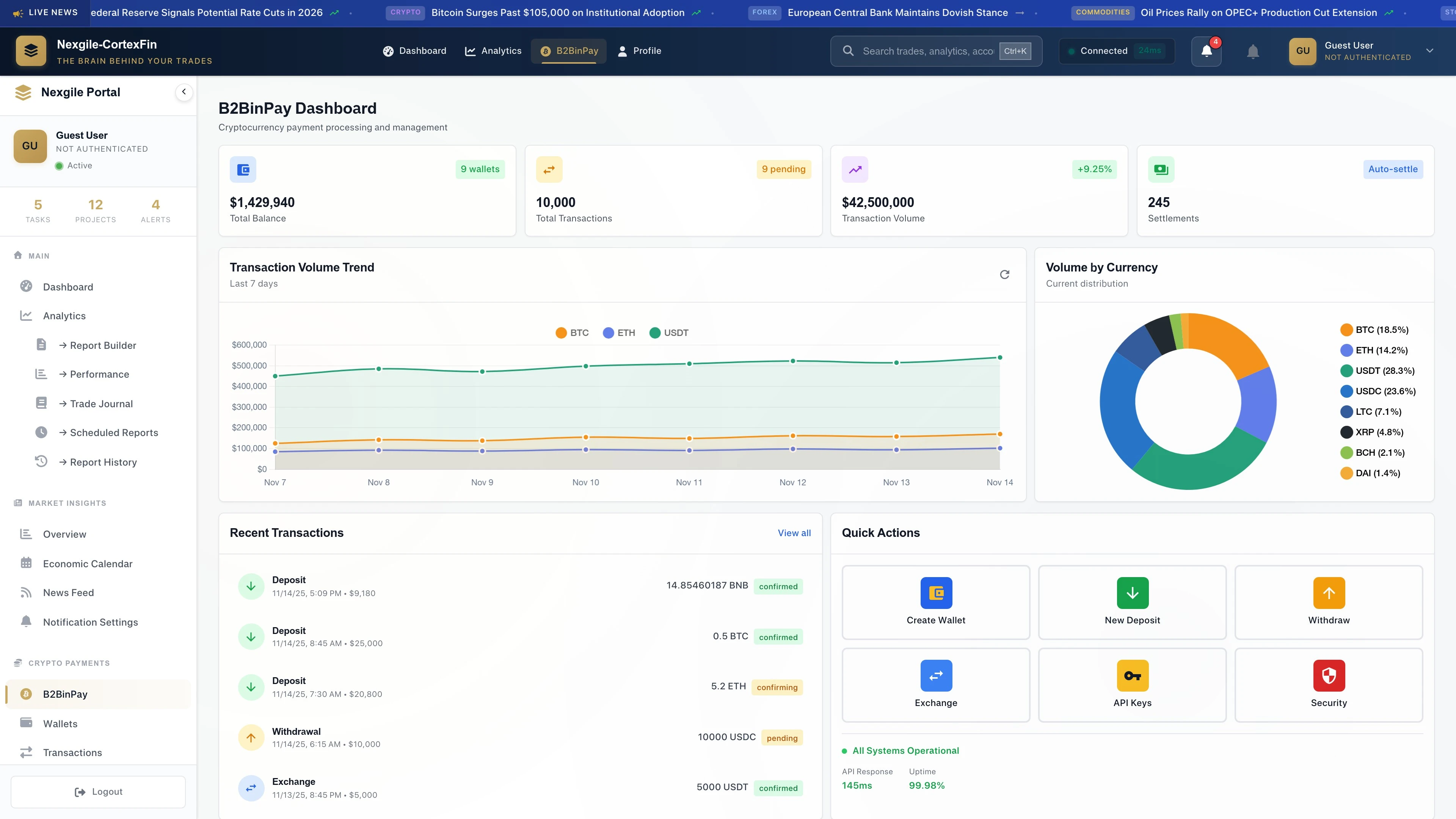 Illustrative preview (sample data, not verified outcomes): B2BinPay Portal Overview