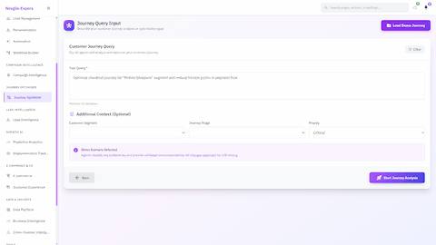 Illustrative preview (sample data, not verified outcomes): Journey Query Input - Customer journey optimization interface for defining analysis goals with context fields for segment targeting and friction point reduction