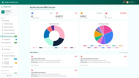 Illustrative preview (sample data, not verified outcomes): BNPL Dashboard - Comprehensive view of Buy Now Pay Later accounts and exposure